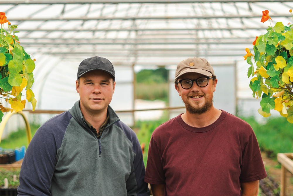 Under The Tomatoes - A Visit To Cinderwood Market Garden