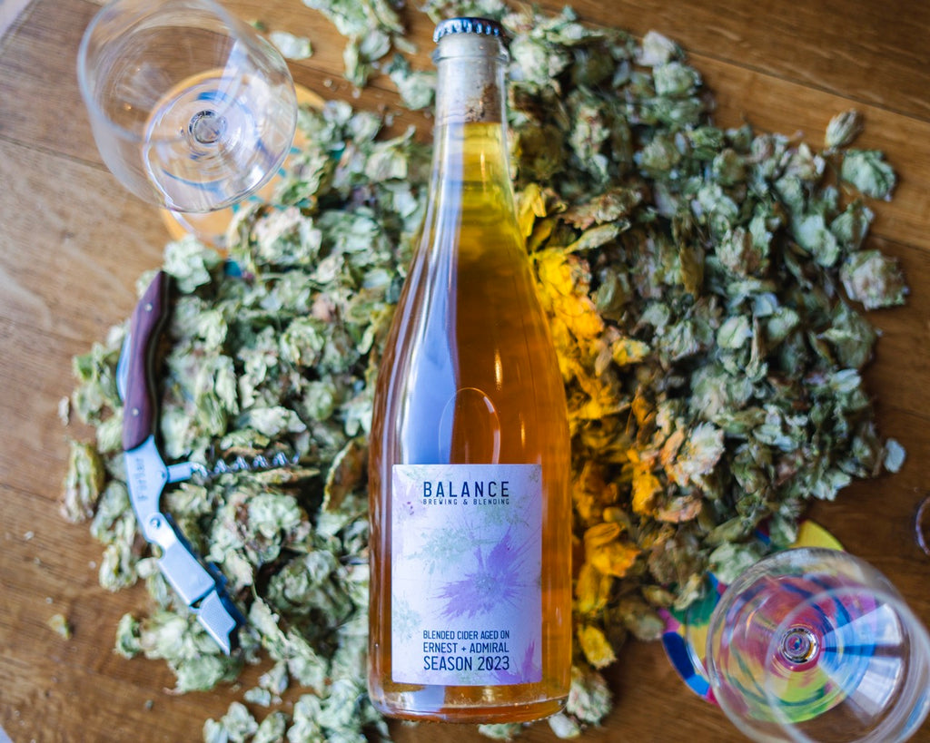 Dry Hopped Cider - 8% - 750ml Bottle