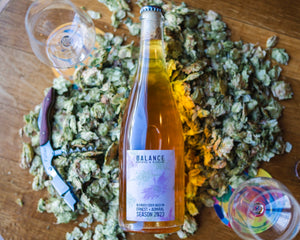 Dry Hopped Cider - 8% - 750ml Bottle