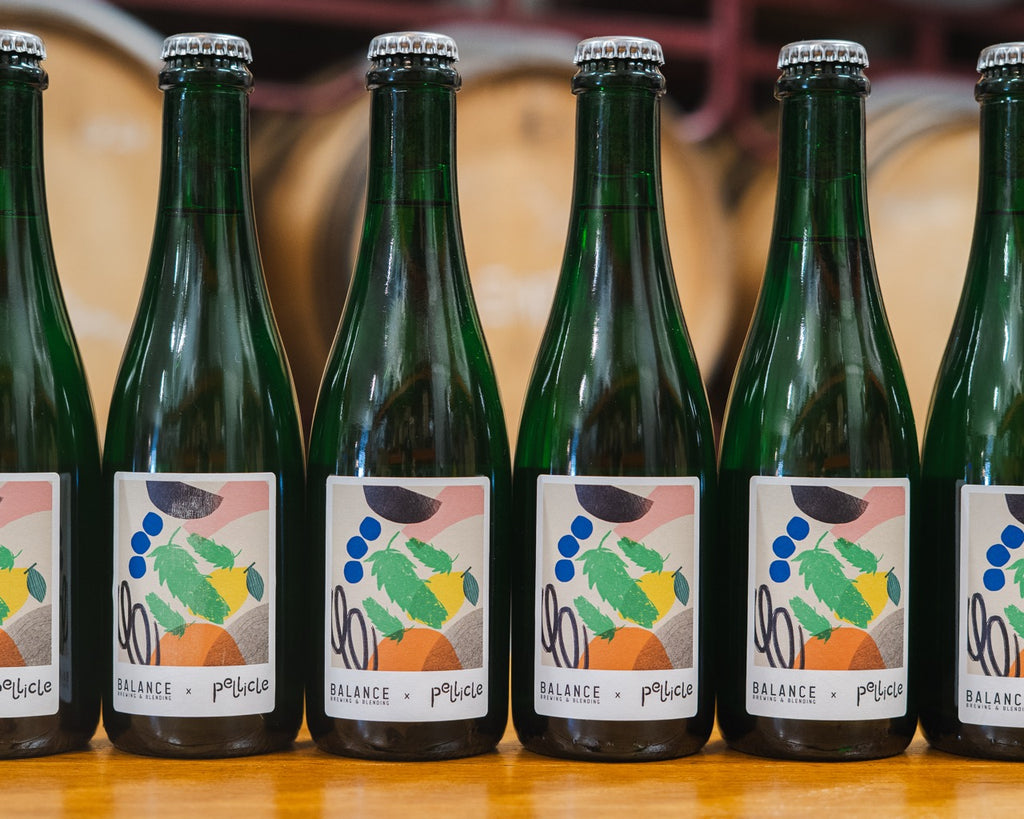 Bine (X Pellicle) - 4.5% - 375ml Bottle